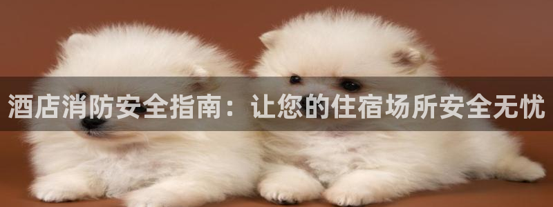 凯发品牌介绍