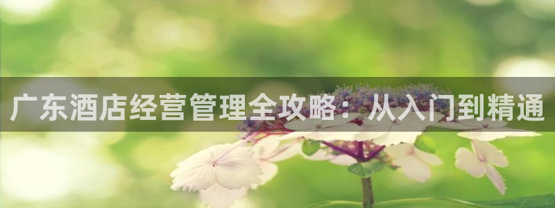k8凯发中国