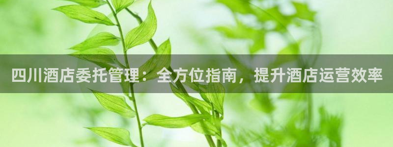 凯发k8·中国官方网站
